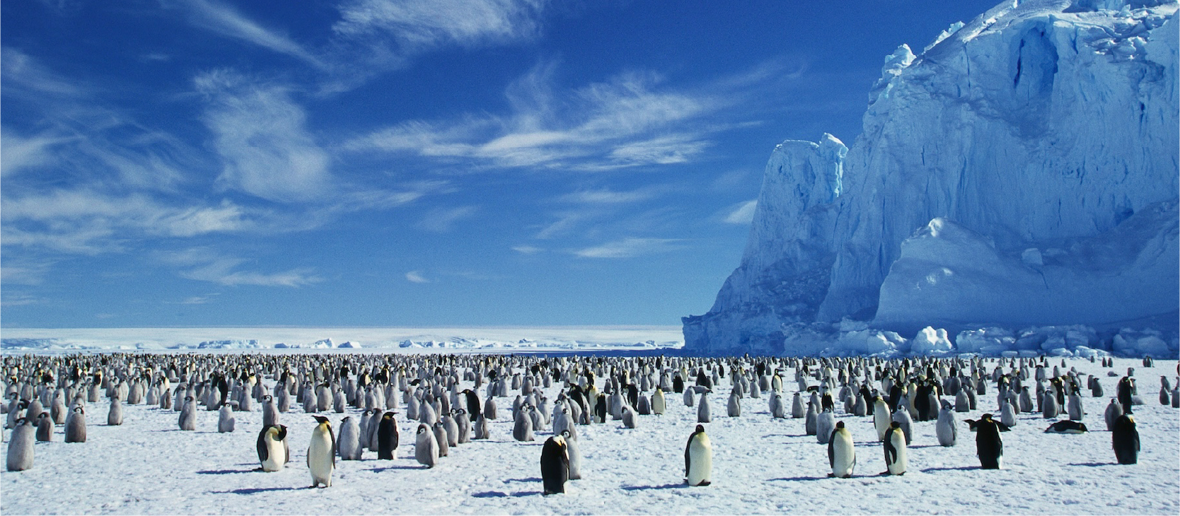 Antarctica
